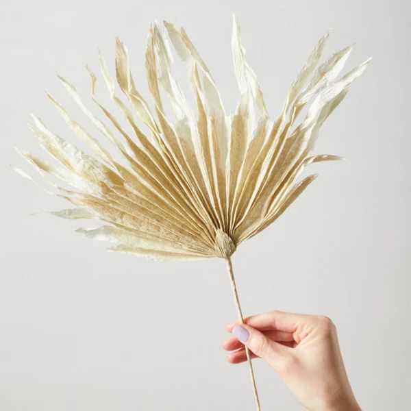 Paper Flower Palm - Sand