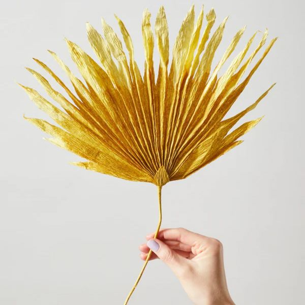 Paper Flower Palm - Ochra