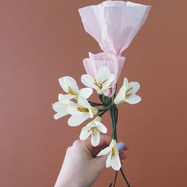 Paper Flower Morning Glory - Rose