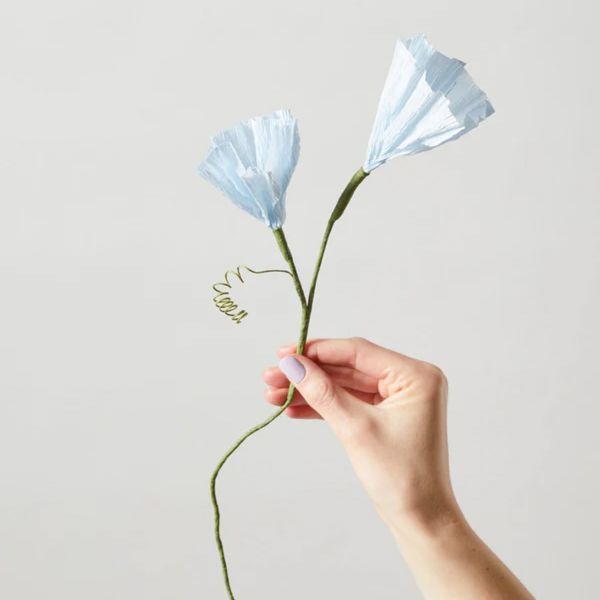 Paper Flower Morning Glory - Blue