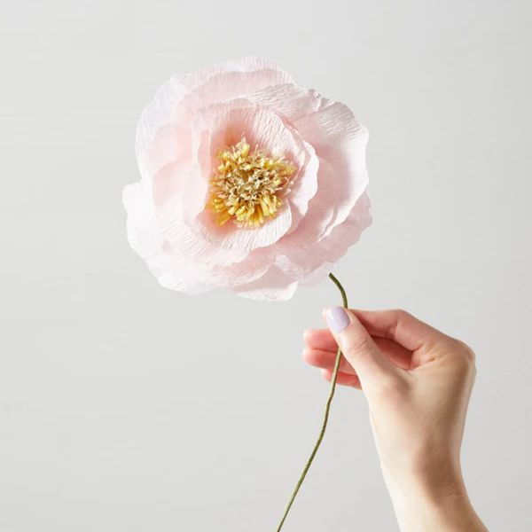 Paper Flower Ice Poppy - Rose