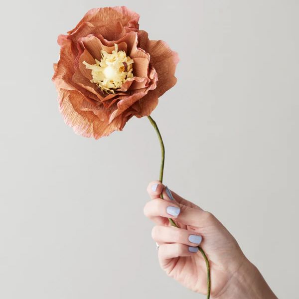 Paper Flower Ice Poppy - Dark Ochre