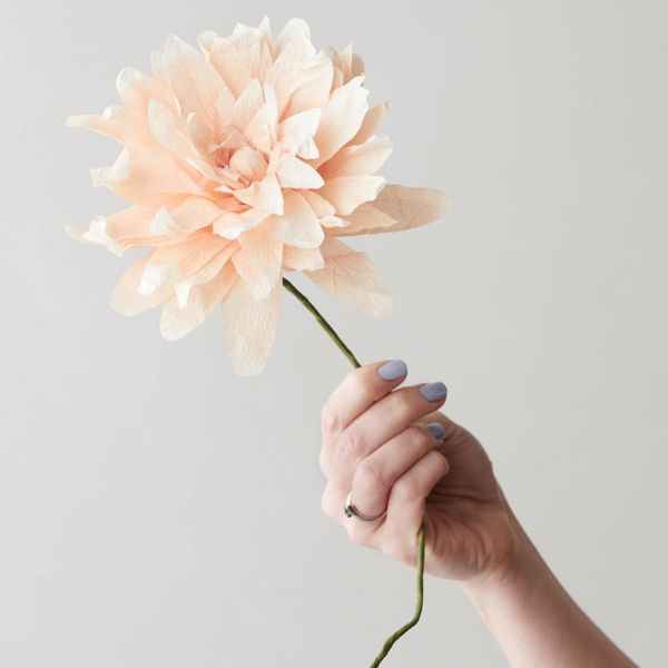 Paper Flower Grand Dahlia - Nude