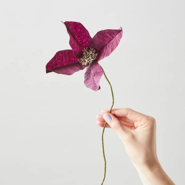 Paper Flower Clematis - Aubergine
