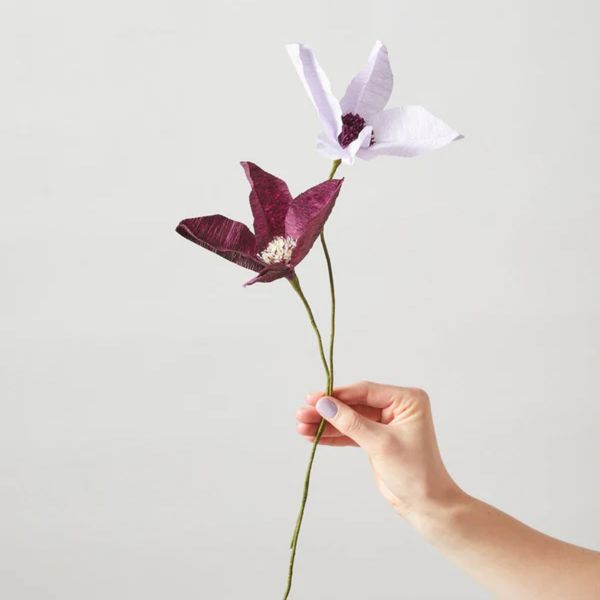 Paper Flower Clematis - Aubergine