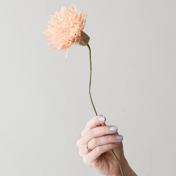 Paper Flower Chrysanthemum - Nude